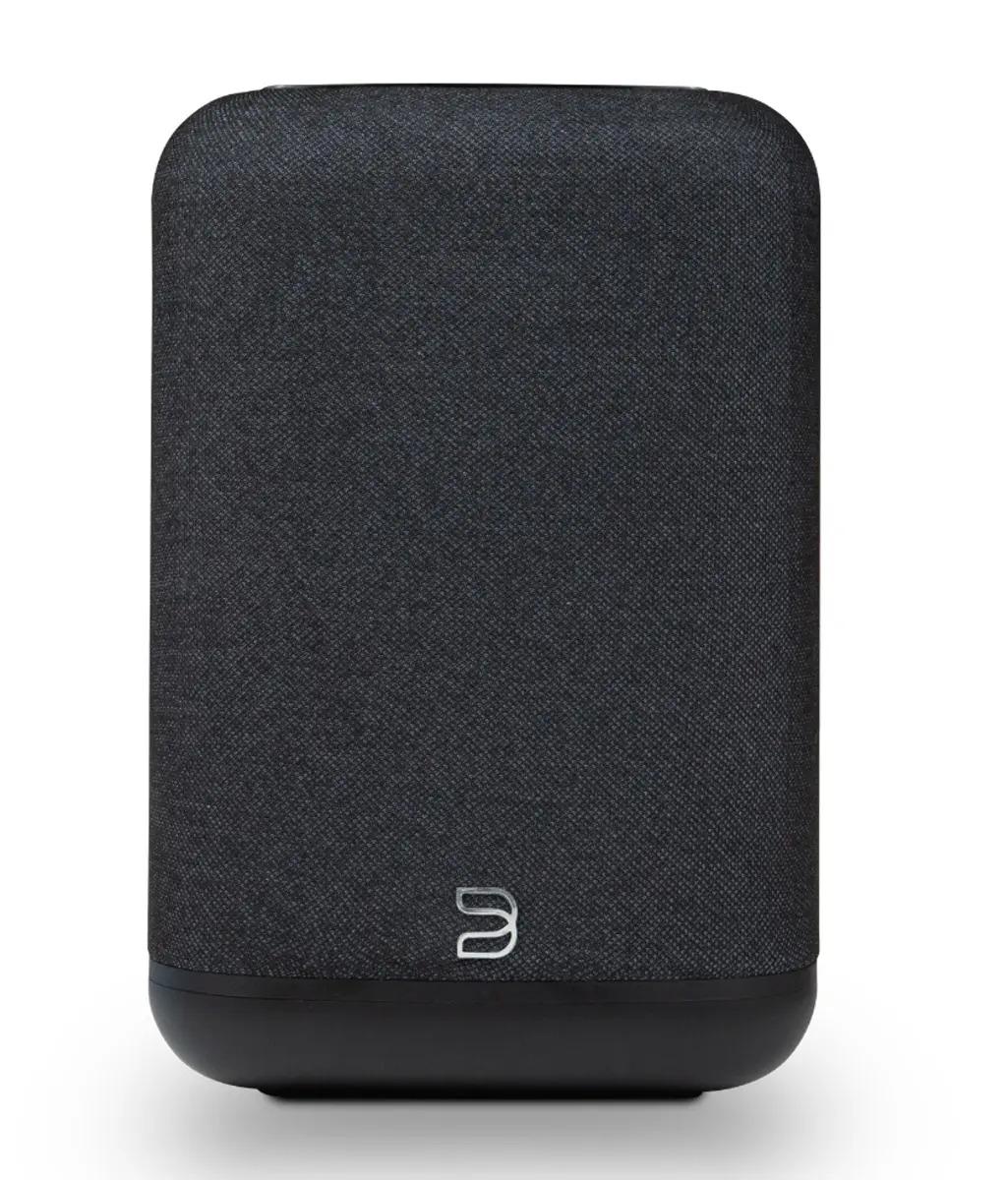 BlueSound Pulse Flex (schwarz)