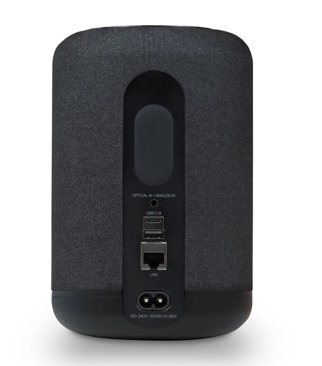 BlueSound Pulse Flex (schwarz) – Bild 3