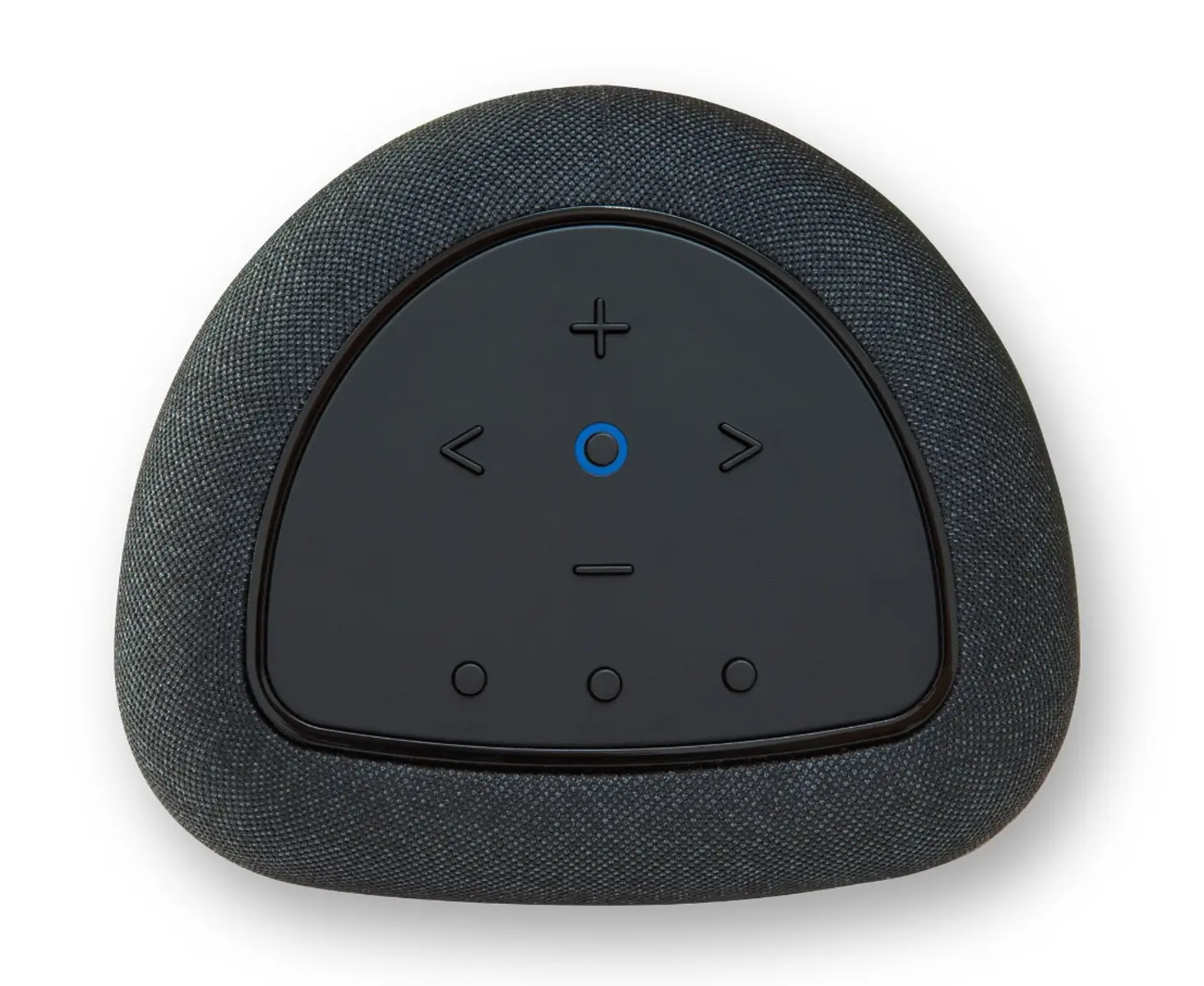 BlueSound Pulse Flex (schwarz) – Bild 4