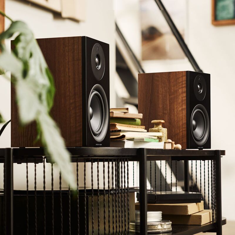 Argon Audio FORUS 5 (Walnuss) – Bild 4
